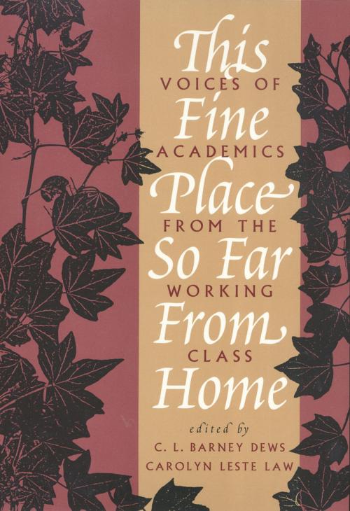 Cover of the book This Fine Place So Far from Home by C.L. Dews, Temple University Press