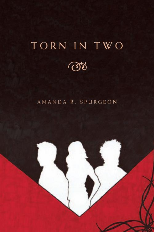 Cover of the book Torn in Two by Amanda R. Spurgeon, Xlibris US