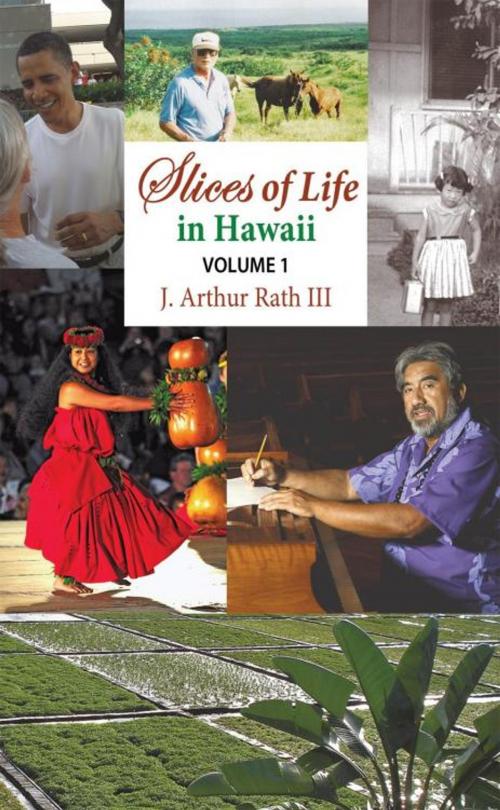Cover of the book Slices of Life in Hawaii Volume 1 by J. Arthur Rath III, iUniverse