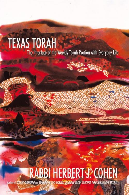 Cover of the book Texas Torah by Rabbi Herbert J. Cohen, iUniverse