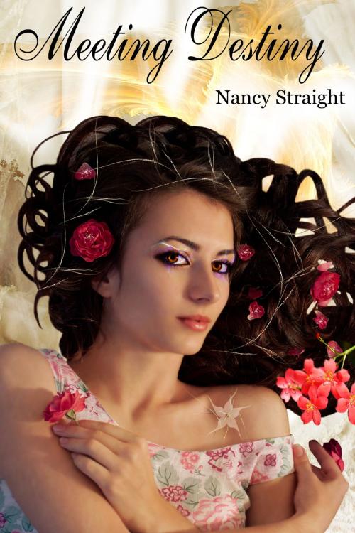 Cover of the book Meeting Destiny by Nancy Straight, Nancy Straight