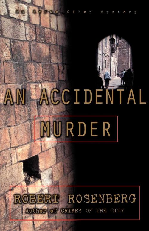 Cover of the book An Accidental Murder by Robert Rosenberg, Scribner