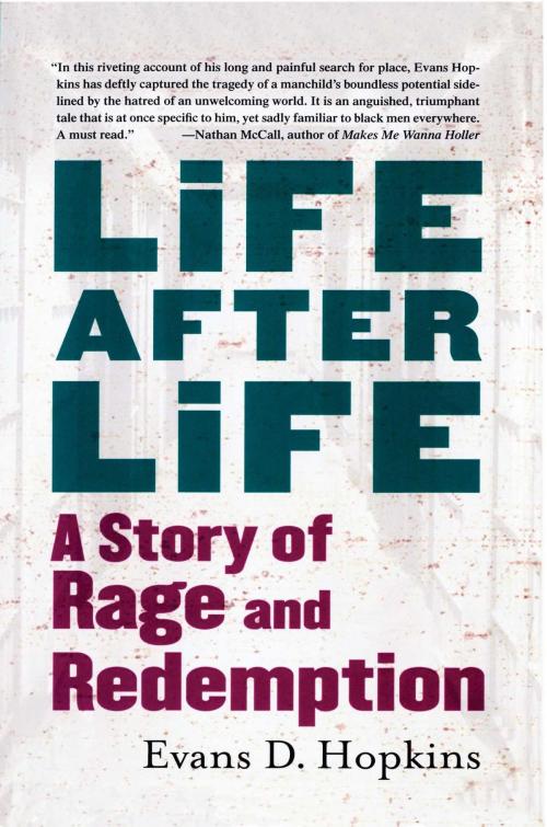 Cover of the book Life After Life by Evans D. Hopkins, Free Press