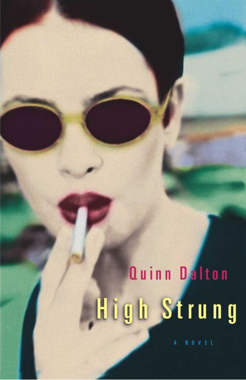 Cover of the book High Strung by Quinn Dalton, Washington Square Press