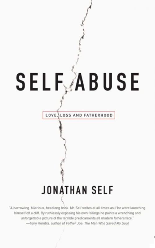 Cover of the book Self Abuse by Jonathan Self, Washington Square Press