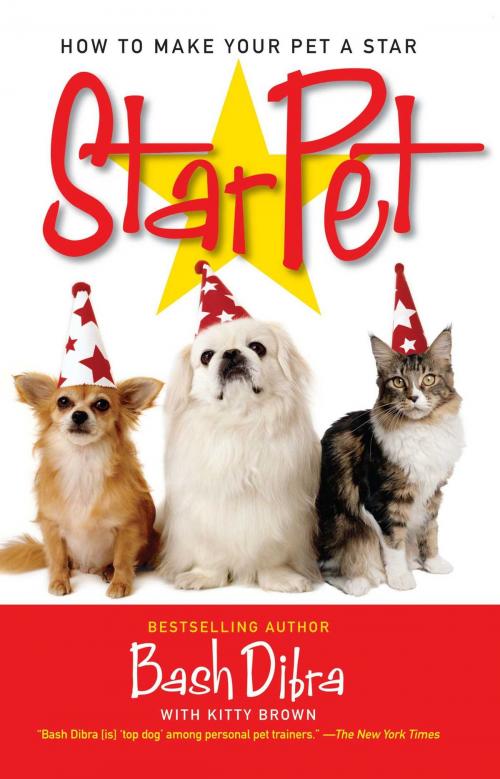 Cover of the book StarPet by Bash Dibra, Gallery Books