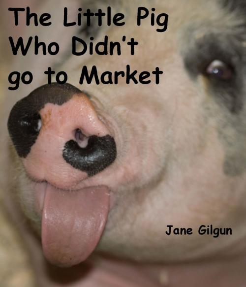 Cover of the book The Little Pig Who Didn't Go To Market by Jane Gilgun, Jane Gilgun