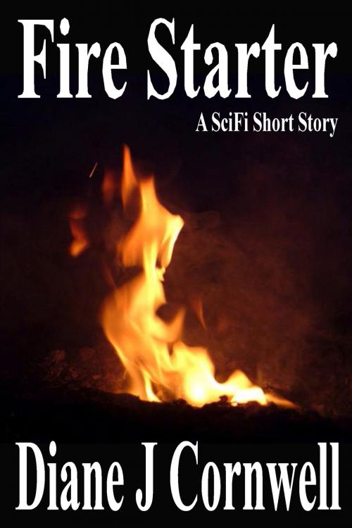 Cover of the book Fire Starter by Diane J Cornwell, Tift Publishing