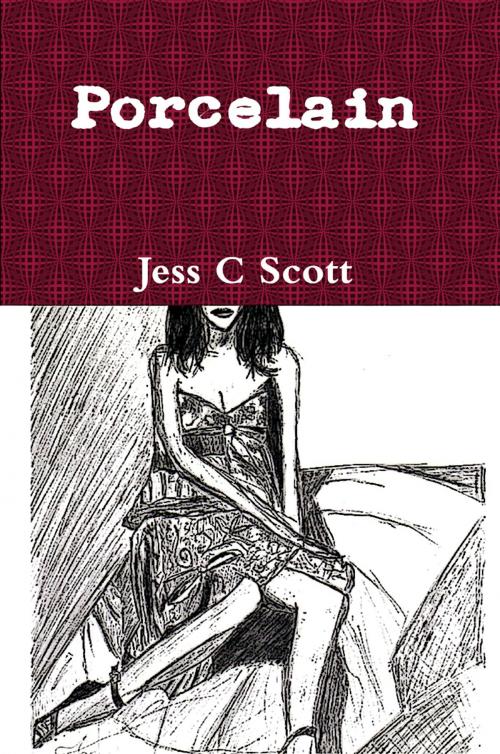 Cover of the book Porcelain by Jess C Scott, Jess C Scott
