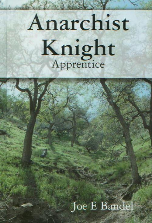 Cover of the book Anarchist Knight: Apprentice by Joe Bandel, Joe Bandel