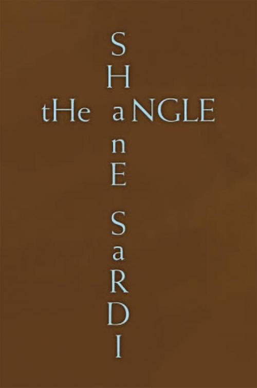 Cover of the book The Angle by Shane Sardi, Xlibris US