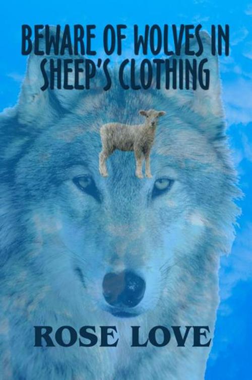 Cover of the book Beware of Wolves in Sheep's Clothing by Rose Love, America Star Books