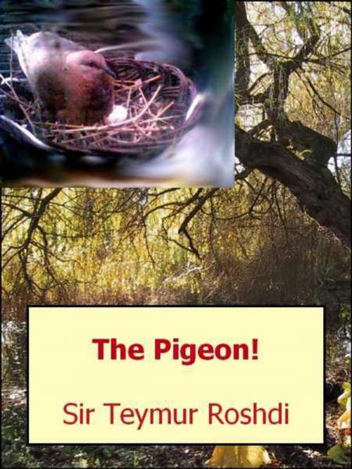 Cover of the book The Pigeon! by Teymur Roshdi, Teymur Roshdi