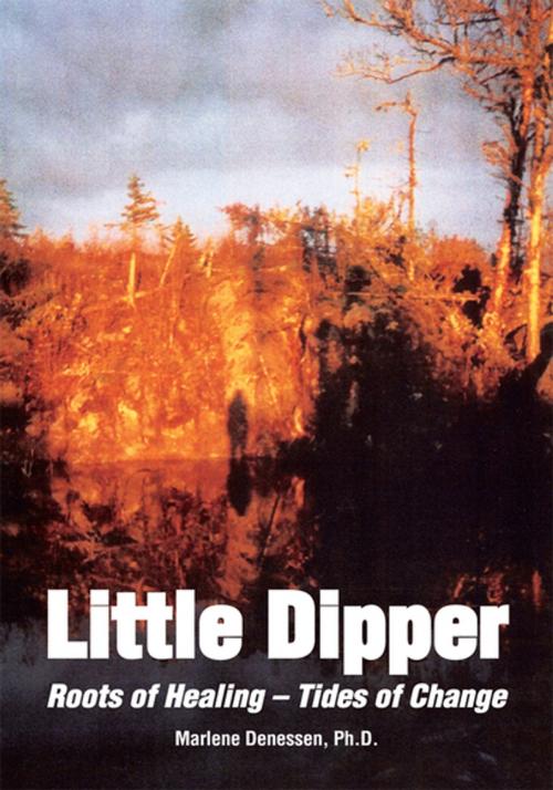 Cover of the book Little Dipper by Marlene Denessen, Xlibris US