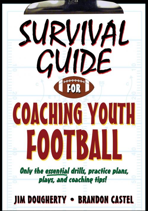 Cover of the book Survival Guide for Coaching Youth Football by Jim E. Dougherty, Brandon Castel, Human Kinetics, Inc.