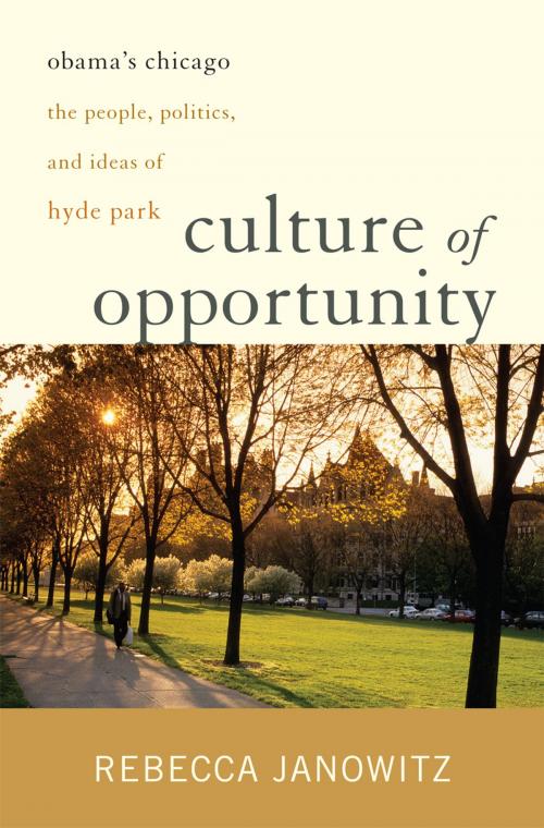 Cover of the book Culture of Opportunity by Rebecca Janowitz, Ivan R. Dee
