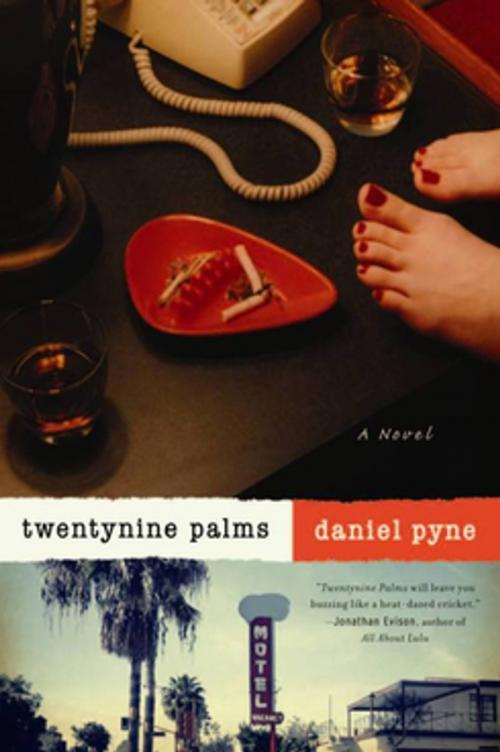 Cover of the book Twentynine Palms by Daniel Pyne, Counterpoint