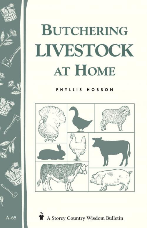 Cover of the book Butchering Livestock at Home by Phyllis Hobson, Storey Publishing, LLC