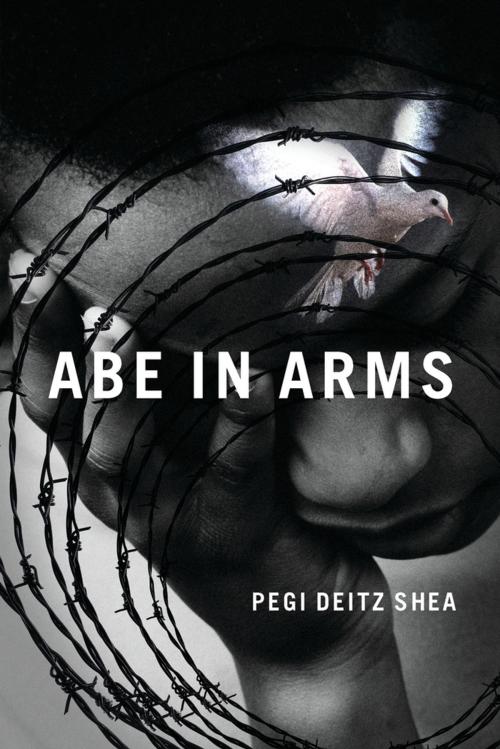 Cover of the book Abe in Arms by Pegi Deitz Shea, PM Press