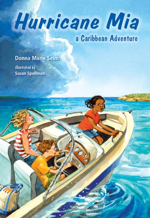 Cover of the book Hurricane Mia by Donna Marie Seim, BookBaby