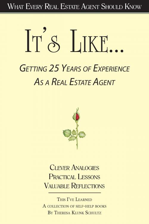 Cover of the book It's Like... Getting 25 Years of Experience as a Real Estate Agent by Theresa Klunk Schultz, Val-UBOOKS