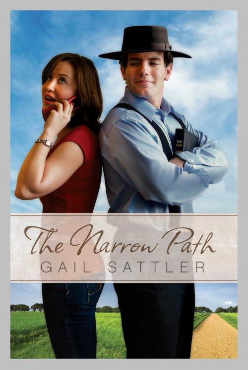 Cover of the book The Narrow Path by Gail Sattler, Abingdon Fiction