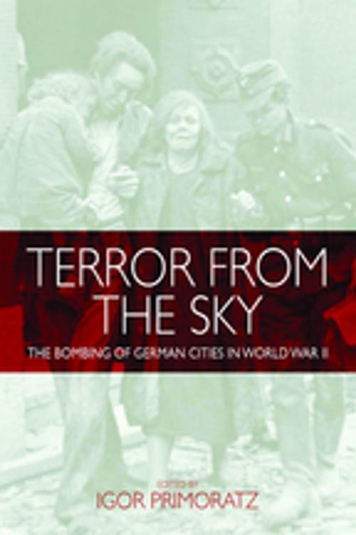 Cover of the book Terror From the Sky by , Berghahn Books