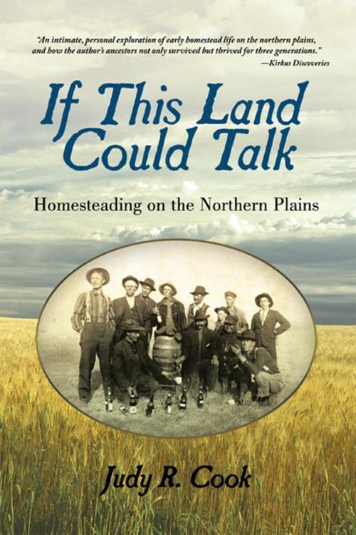 Cover of the book If This Land Could Talk by Judy R. Cook, iUniverse