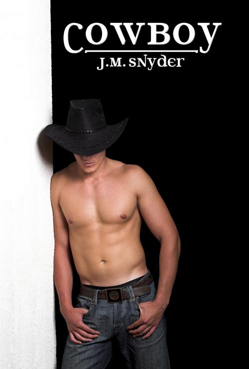 Cover of the book Cowboy by J.M. Snyder, JMS Books LLC