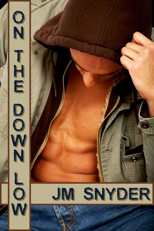 Cover of the book On the Down Low by J.M. Snyder, JMS Books LLC