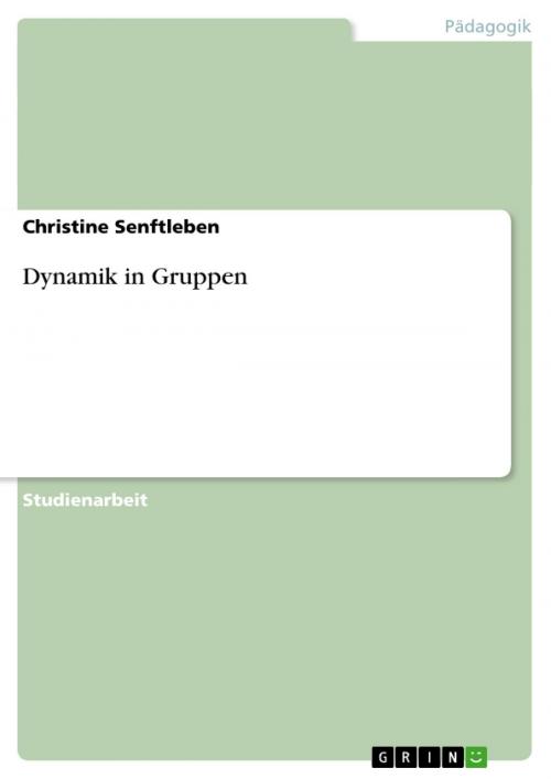 Cover of the book Dynamik in Gruppen by Christine Senftleben, GRIN Verlag