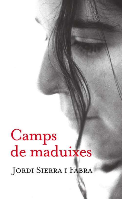 Cover of the book Camps de maduixes (eBook-ePub) by Jordi Sierra i Fabra, Grupo SM