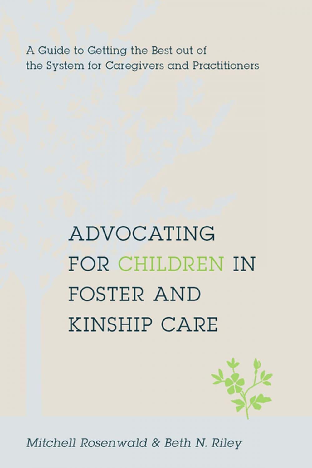 Big bigCover of Advocating for Children in Foster and Kinship Care