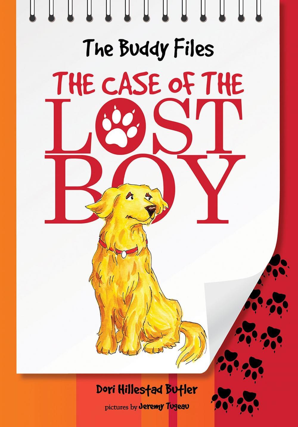 Big bigCover of The Case of Lost Boy