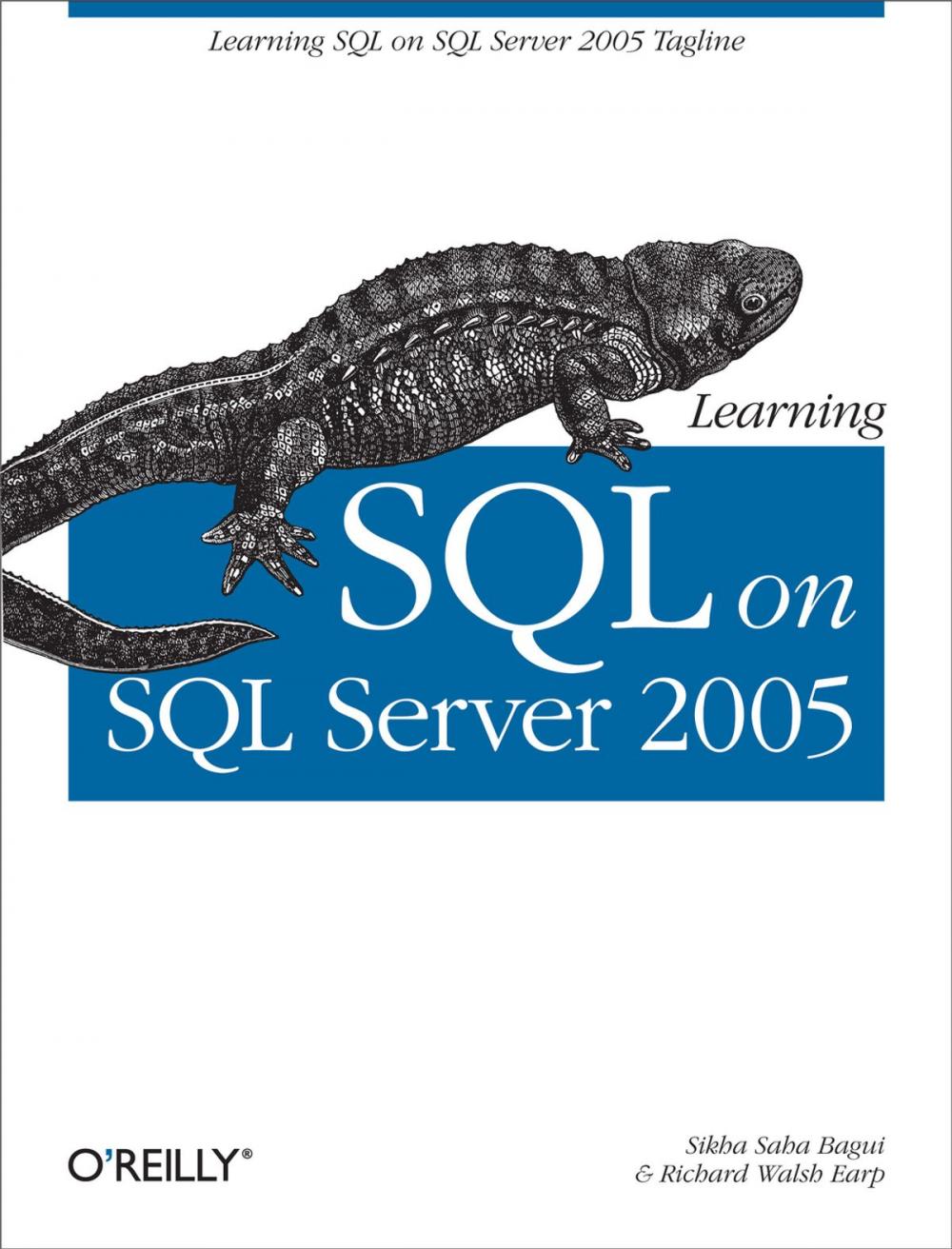 Big bigCover of Learning SQL on SQL Server 2005
