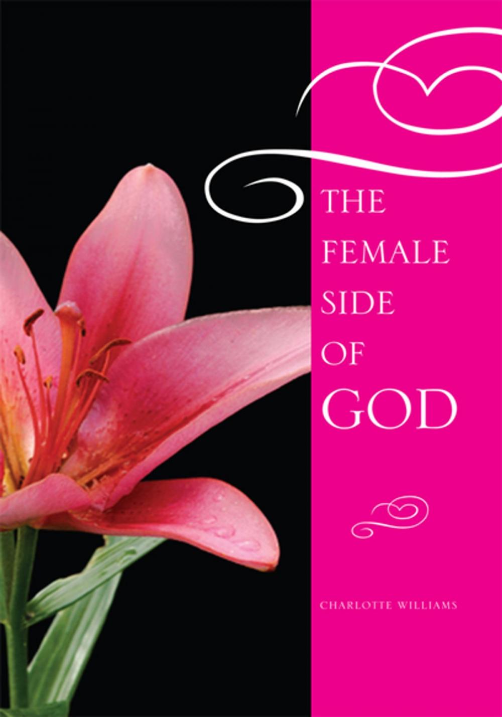 Big bigCover of The Female Side of God