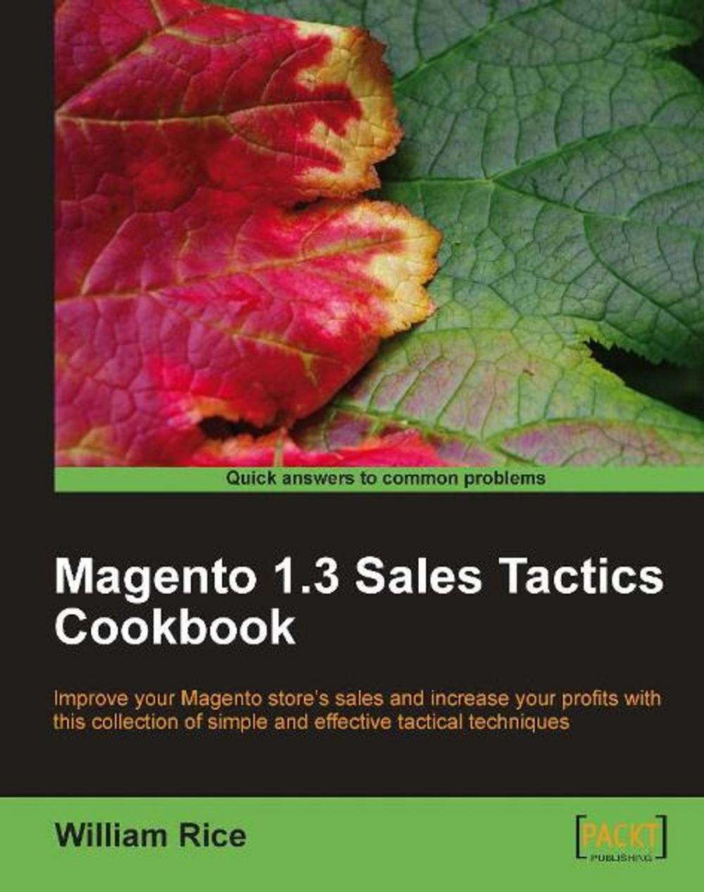 Big bigCover of Magento 1.3 Sales Tactics Cookbook