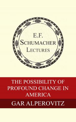 Cover of the book The Possibility of Profound Change in America by John Todd, Hildegarde Hannum