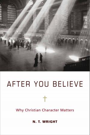 Cover of the book After You Believe by Harvey Cox