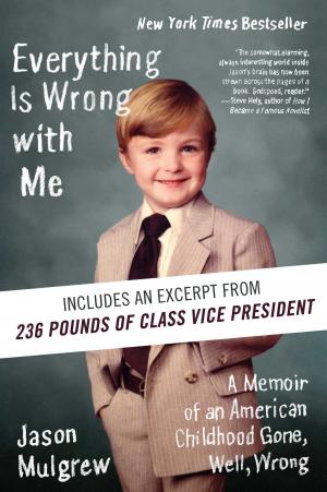 Cover of the book Everything Is Wrong with Me by Ken Kalfus