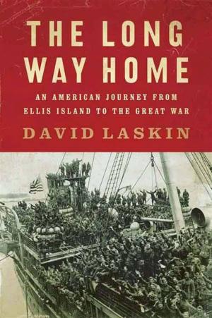 Cover of the book The Long Way Home by Susan Nagel