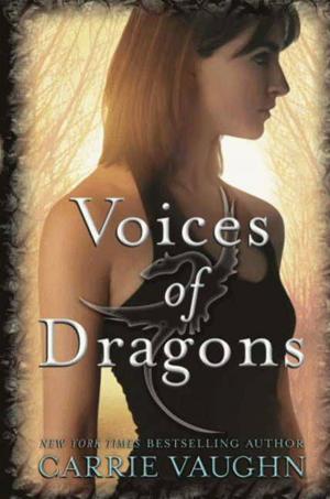 Cover of the book Voices of Dragons by Lauren Gibaldi