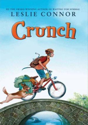 Cover of the book Crunch by Riya Chandiramani