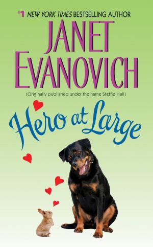 bigCover of the book Hero at Large by 