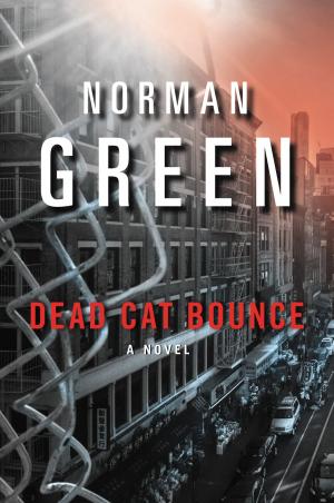Cover of the book Dead Cat Bounce by Kinley MacGregor