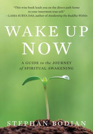 Book cover of Wake Up Now