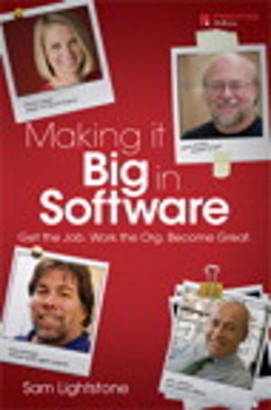Cover of the book Making it Big in Software by Joan Lambert, Joyce Cox
