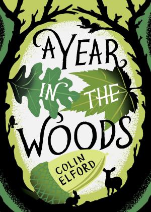 Cover of the book A Year in the Woods by Stewart Binns