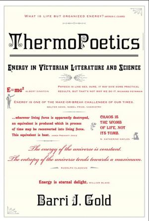 Cover of the book ThermoPoetics: Energy in Victorian Literature and Science by Janna Yeshanova MA, MEd, PCC