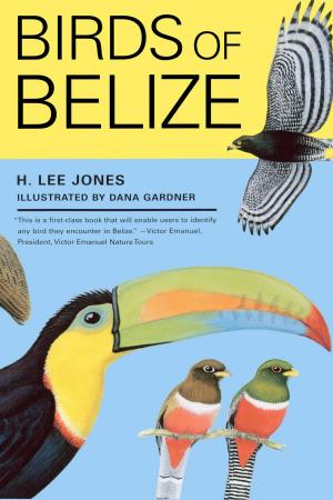 Cover of the book Birds of Belize by Sanora Babb, Dorothy Babb